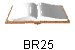 BR25
